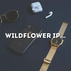 Wildflower iPhone 11 Cases: A Comprehensive Guide to Stylish and Protective Accessories